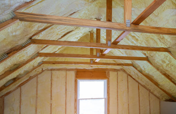 Best Residential Insulation in New Albany, MS